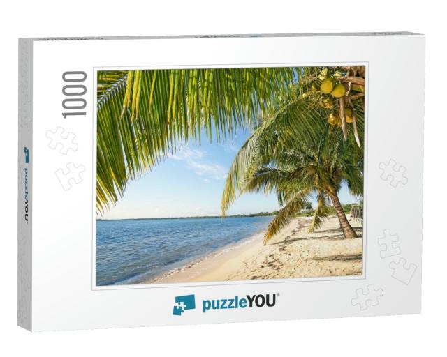 Beach Palm & Turquoise Sea At Playa Larga Near Bay of Pig... Jigsaw Puzzle with 1000 pieces