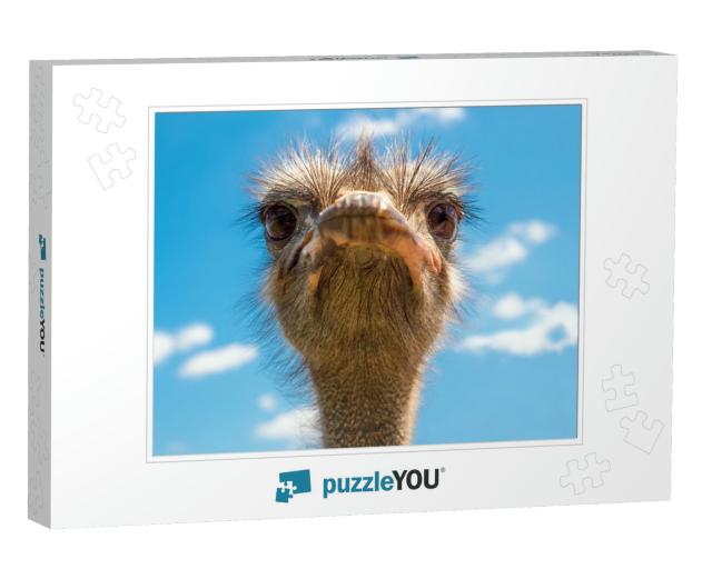 Head of Ostrich on Clear Sky Backdrop. Beak of Ostrich. P... Jigsaw Puzzle