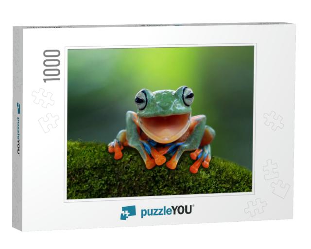 Tree Frog, Flying Frog Laughing, Animal Closeup... Jigsaw Puzzle with 1000 pieces