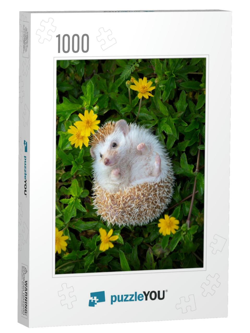 European Hedgehog Playing in the Flower Garden with Very... Jigsaw Puzzle with 1000 pieces