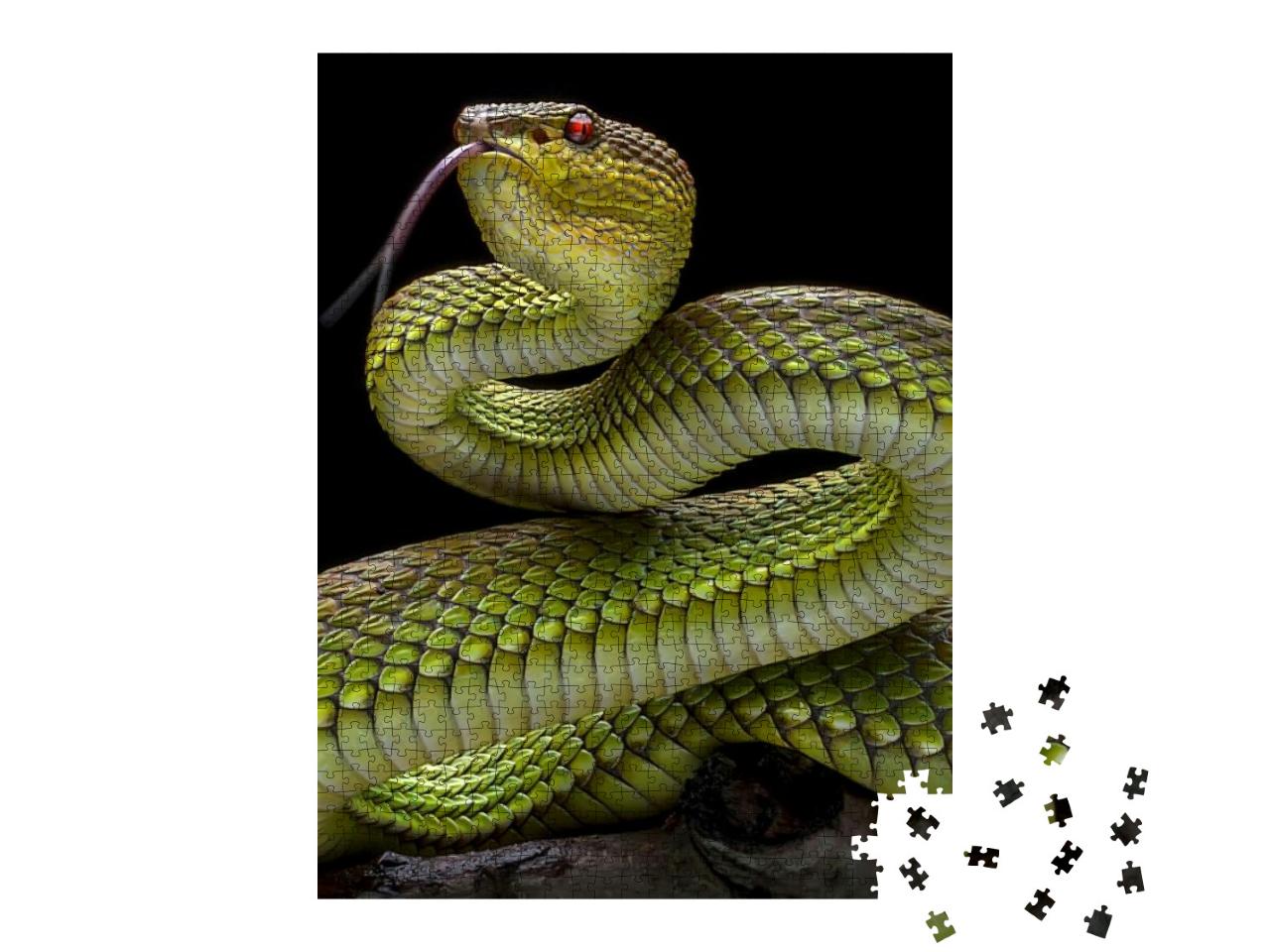 Green Goldy Skin Viper Snake 2001026 - Exotic Reptile Ani... Jigsaw Puzzle with 1000 pieces