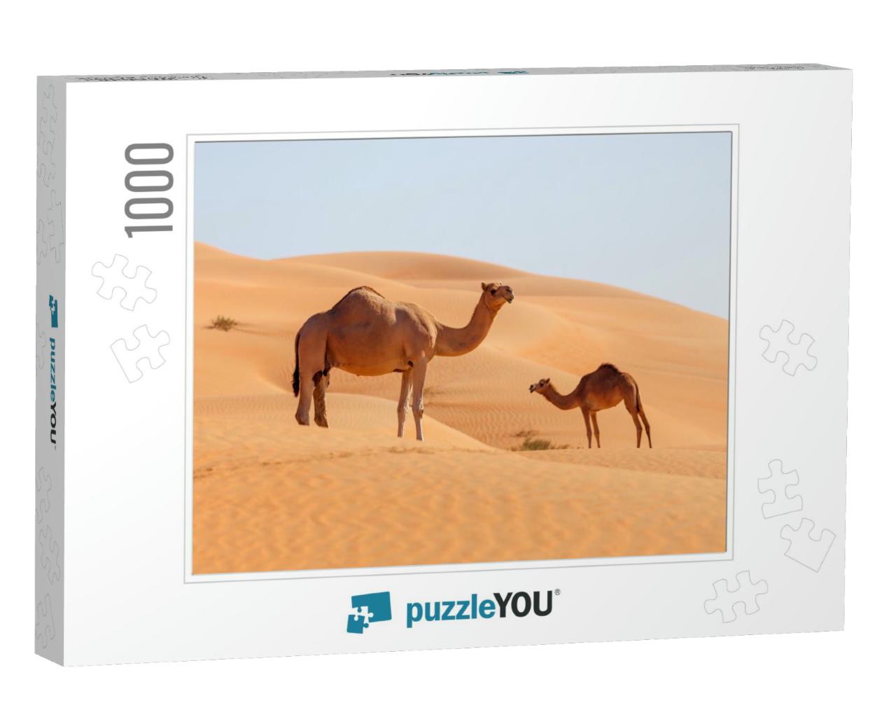 Two Middle Eastern Camels in a Desert... Jigsaw Puzzle with 1000 pieces