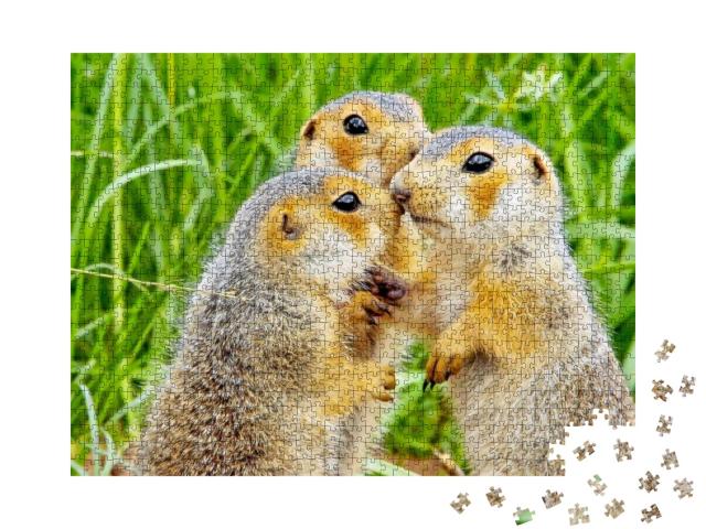 Funny Cute Loving Gophers Sitting in a Meadow on a Warm S... Jigsaw Puzzle with 1000 pieces