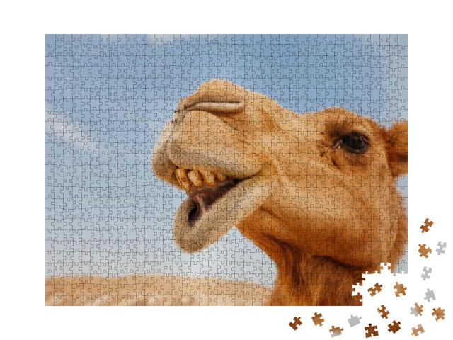 Camel in Israel Desert, Funny Close Up... Jigsaw Puzzle with 1000 pieces