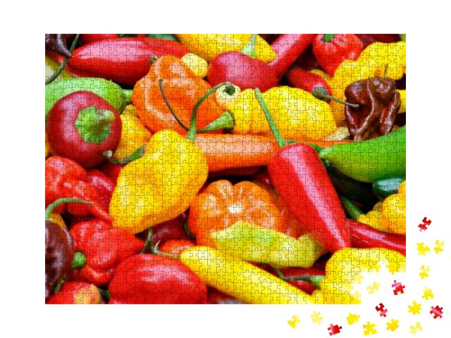 A Colorful Mix of the Freshest & Hottest Chili Peppers... Jigsaw Puzzle with 1000 pieces