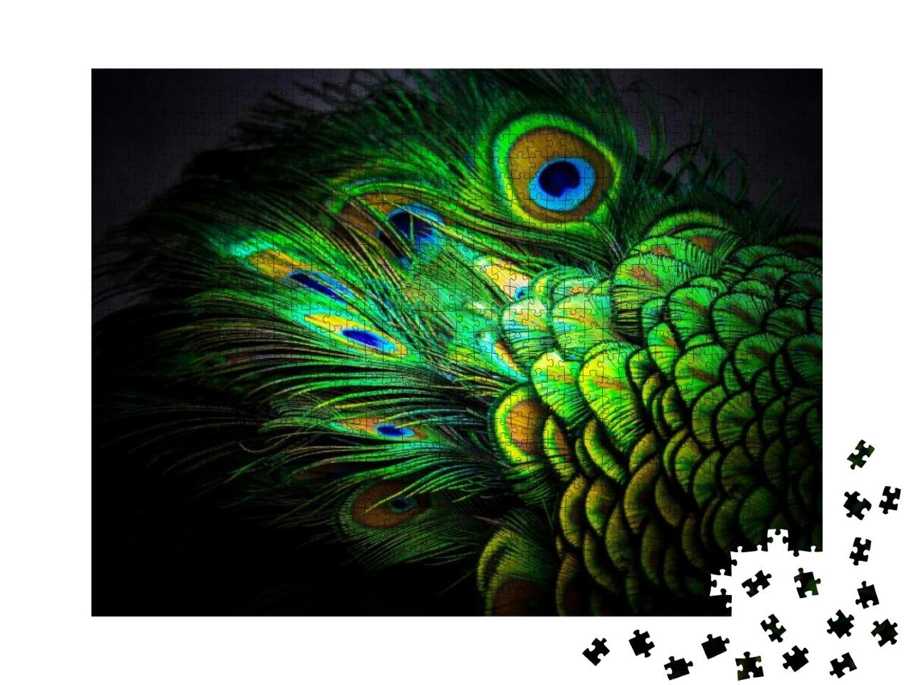 Peacock Feathers... Jigsaw Puzzle with 1000 pieces