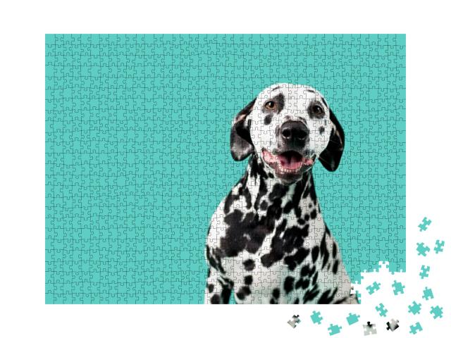 Beautiful Dalmatian Dog on Colored Background... Jigsaw Puzzle with 1000 pieces