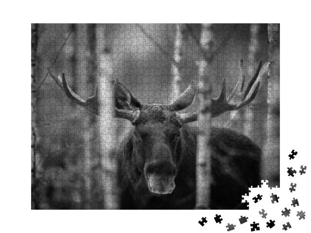 Mammal - Bull Moose Alces. Portrait of Elk, Moose. Moose... Jigsaw Puzzle with 1000 pieces
