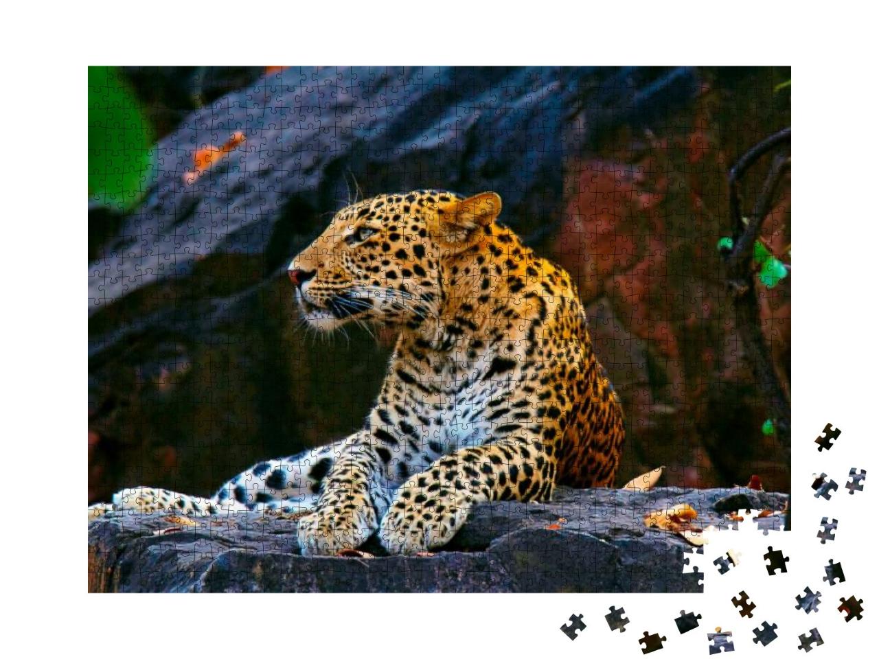 Indian Leopard, Panthera Pardus Fusca, Ranthambhore Tiger... Jigsaw Puzzle with 1000 pieces
