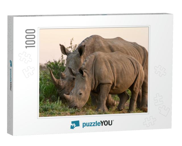 White Rhinoceros or Square-Lipped Rhinoceros Ceratotheriu... Jigsaw Puzzle with 1000 pieces