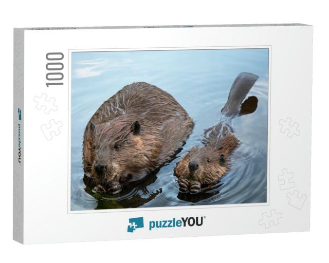Momma & Baby Beaver Chewing Branches... Jigsaw Puzzle with 1000 pieces