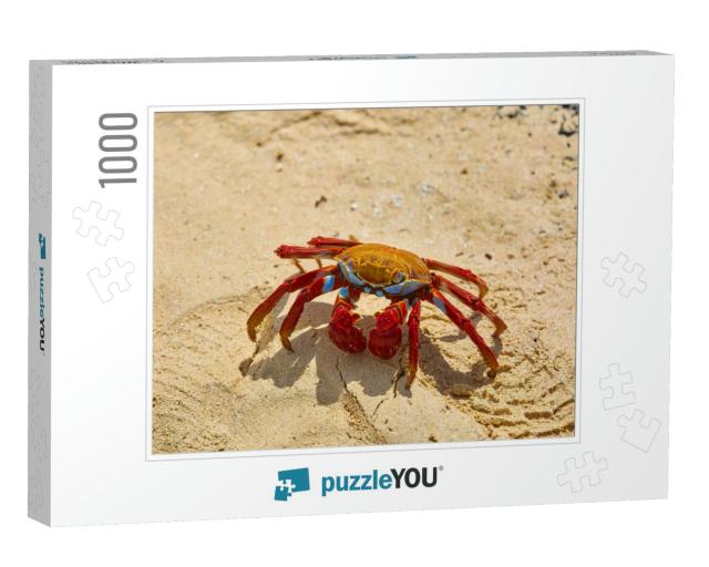 Sally Lightfoot Crab Grapsus Grapsus on Yellow Sand, Gala... Jigsaw Puzzle with 1000 pieces