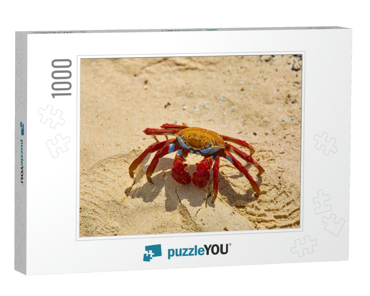 Sally Lightfoot Crab Grapsus Grapsus on Yellow Sand, Gala... Jigsaw Puzzle with 1000 pieces
