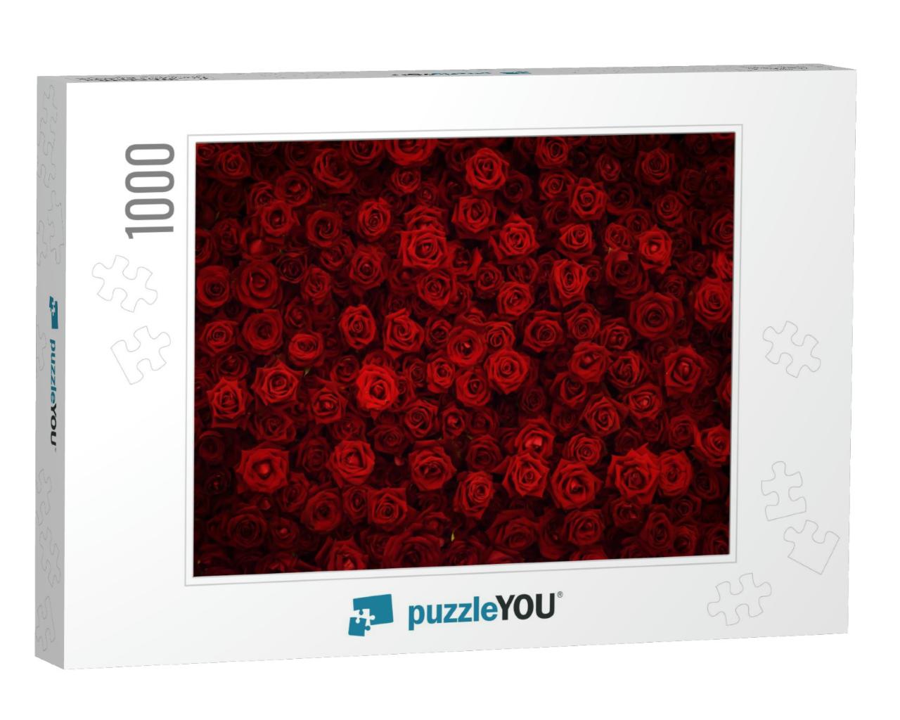 Red Rose Background... Jigsaw Puzzle with 1000 pieces