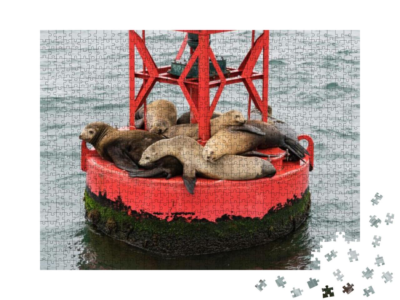Lazy Sleepy Sea Lions on Buoy Near Channel Islands Nation... Jigsaw Puzzle with 1000 pieces