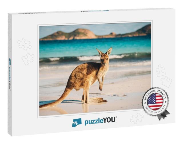 Kangaroo At Lucky Bay in the Cape Le Grand National Park... Jigsaw Puzzle