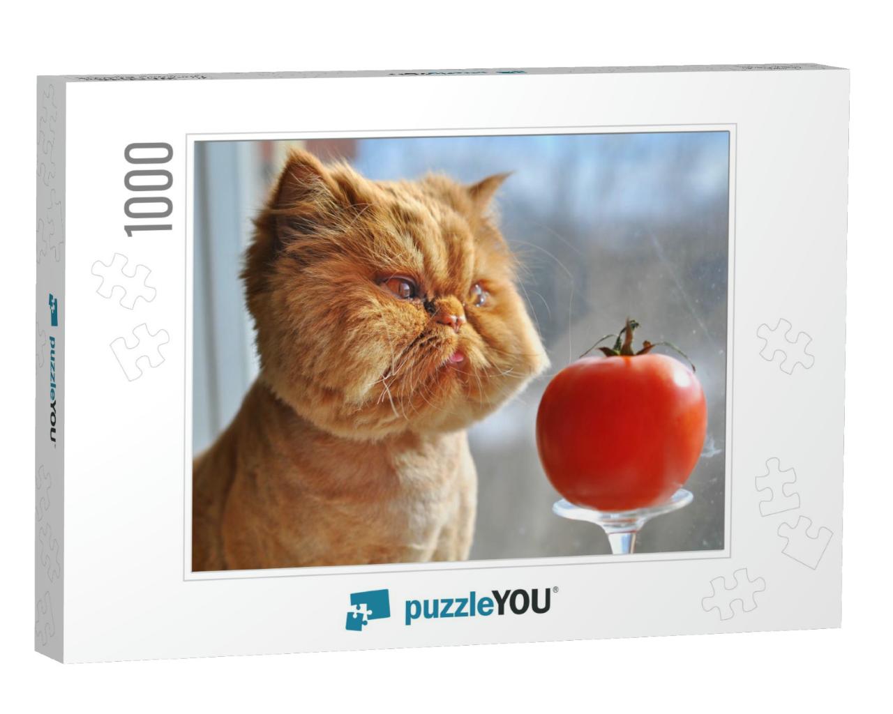 Funny Cat & Red Tomato... Jigsaw Puzzle with 1000 pieces