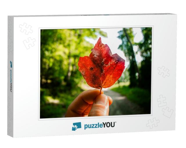 Dreaming Of Autumn Jigsaw Puzzle