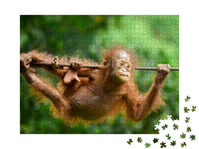 Orangutan Kalimantan - Close Up Details of the Kalimanta... Jigsaw Puzzle with 1000 pieces