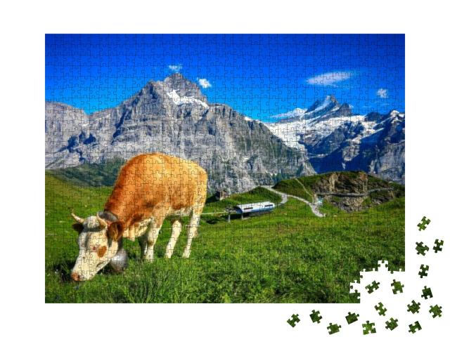 The Cow Stand on Green Grass Field At Grindelwald Fist... Jigsaw Puzzle with 1000 pieces