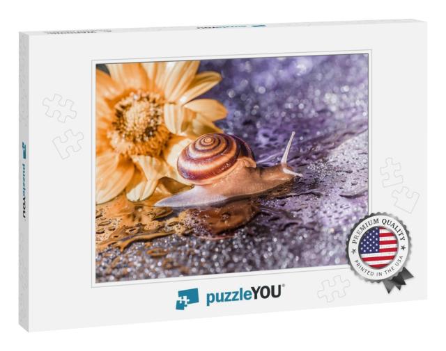 Brown Snail is Crawling Against the Backdrop of Shiny Bri... Jigsaw Puzzle