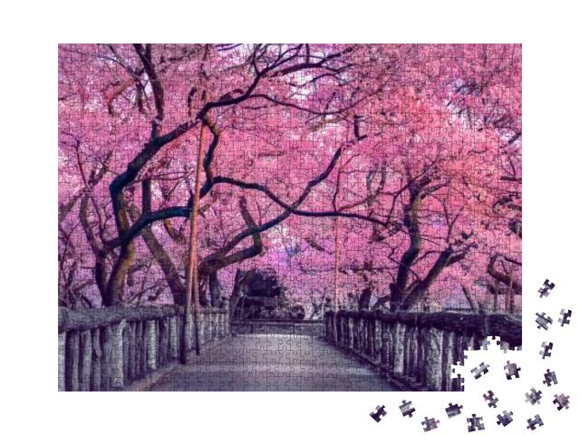Beautiful Pink Cherry Trees Blooming Extravagantly At the... Jigsaw Puzzle with 1000 pieces