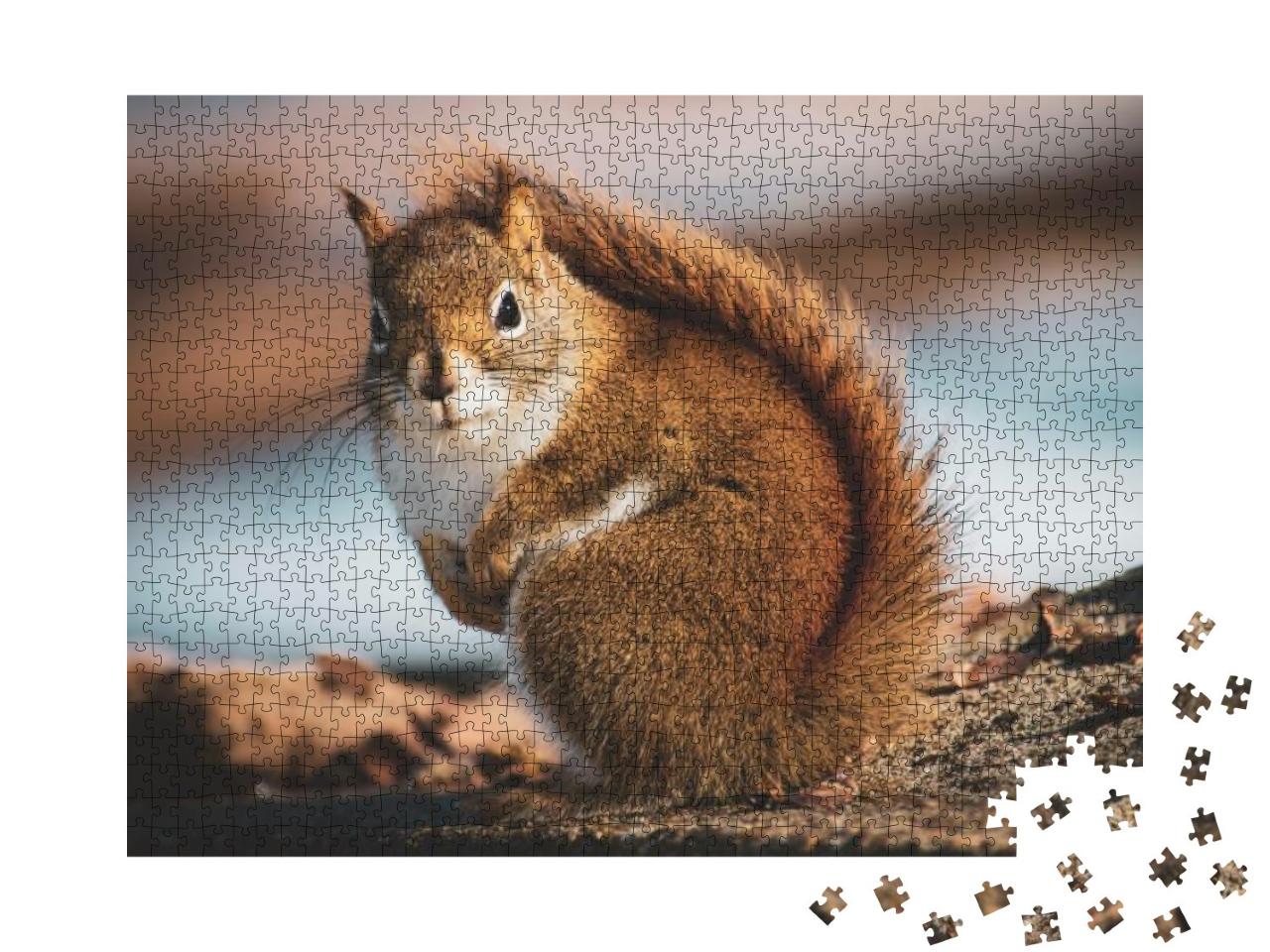 Beautiful Little Squirrel in the Forest... Jigsaw Puzzle with 1000 pieces