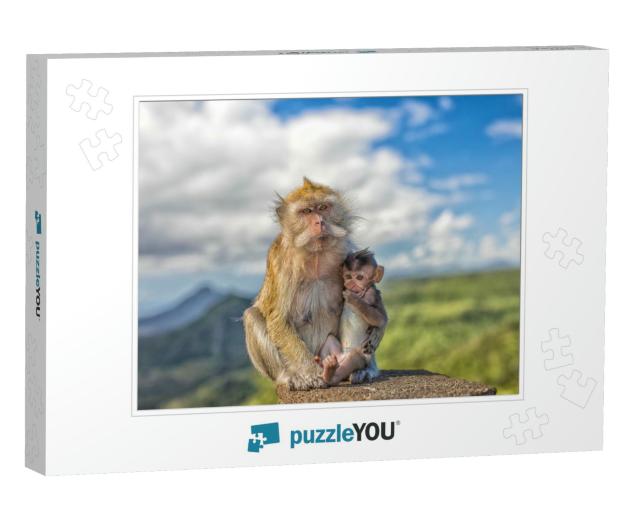 Cute Macaque Monkey with Mother Monkey in Front of Panora... Jigsaw Puzzle