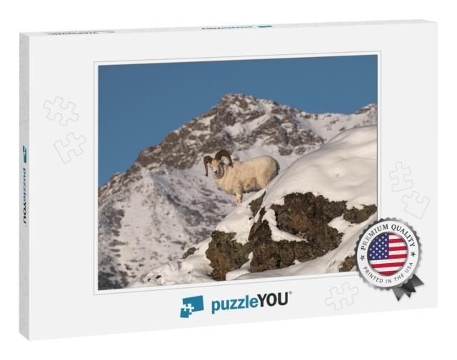 Dall Sheep Ram in a Winter Mountain Landscape with the Pe... Jigsaw Puzzle