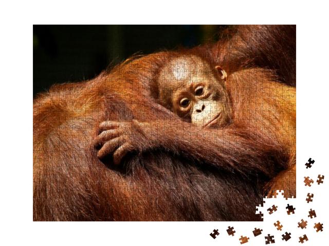 Female Orangutan & Her Baby in the Rainforest... Jigsaw Puzzle with 1000 pieces