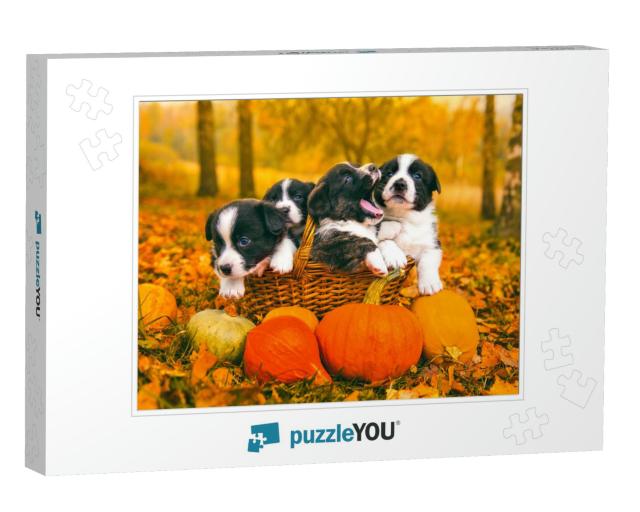 Funny Happy Welsh Corgi Pembroke Puppies Dogs Posing in t... Jigsaw Puzzle