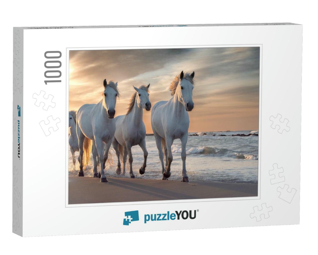 Herd of White Horses Running Through the Water. Image Tak... Jigsaw Puzzle with 1000 pieces