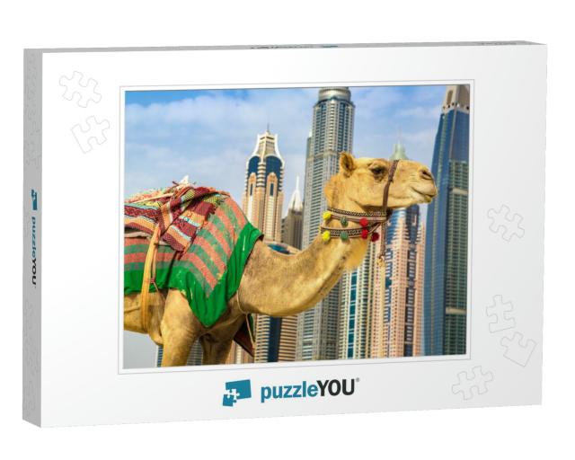 Camel in Front of Dubai Marina in a Summer Day, United Ar... Jigsaw Puzzle