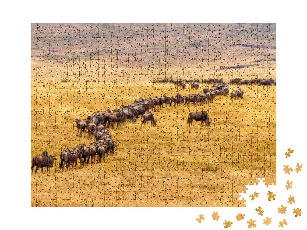 Wildebeest on Savannah in Africa... Jigsaw Puzzle with 1000 pieces