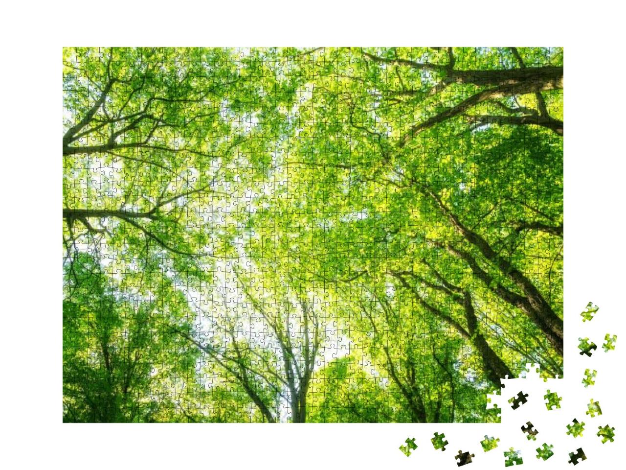 Tree Tops Shine Like Green Fire... Jigsaw Puzzle with 1000 pieces