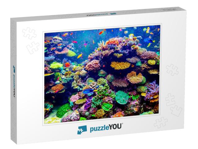 Coral Reef & Tropical Fish in Sunlight. Singapore Aquariu... Jigsaw Puzzle