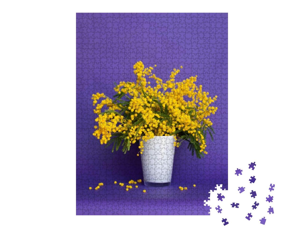 Mimosa. Yellow Flowers in a White Vase on a Purple Backgr... Jigsaw Puzzle with 1000 pieces