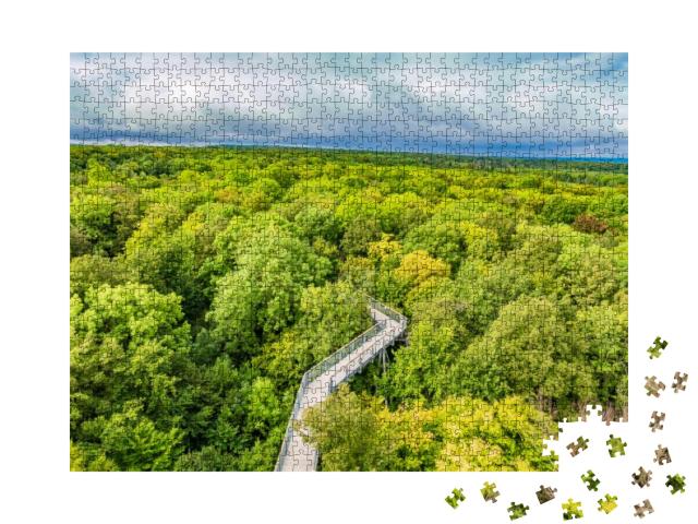 Primeval Beech Forests of Hainich National Park, Germany... Jigsaw Puzzle with 1000 pieces