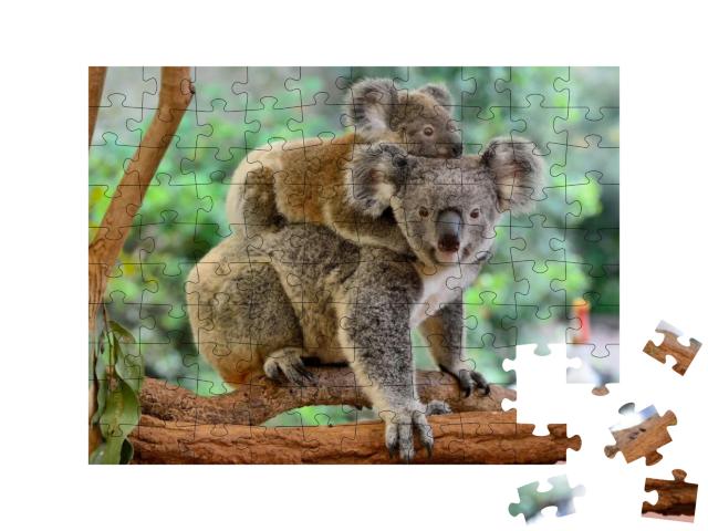 Mother Koala with Baby on Her Back, on Eucalyptus Tree... Jigsaw Puzzle with 100 pieces