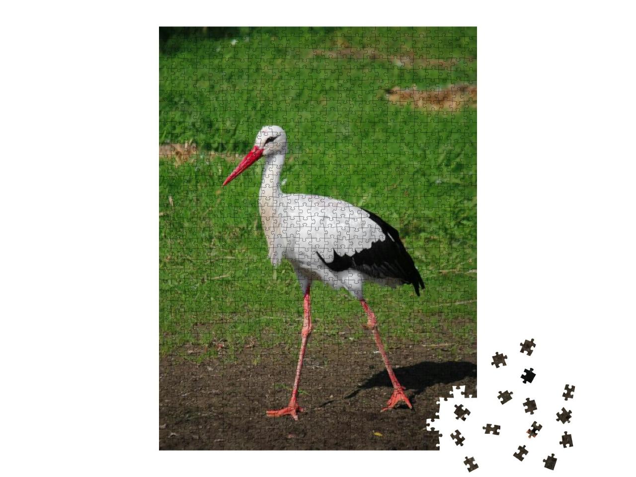 Small Stork is Walking in the Garden... Jigsaw Puzzle with 1000 pieces