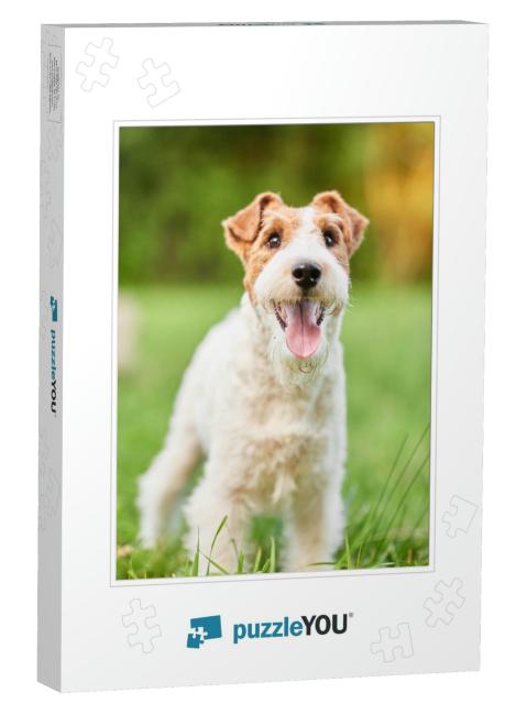Vertical Shot of a Cute Happy & Healthy Fox Terrier Dog S... Jigsaw Puzzle