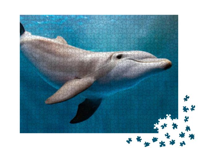 Dolphin Underwater on Blue Ocean Background Looking At Yo... Jigsaw Puzzle with 1000 pieces