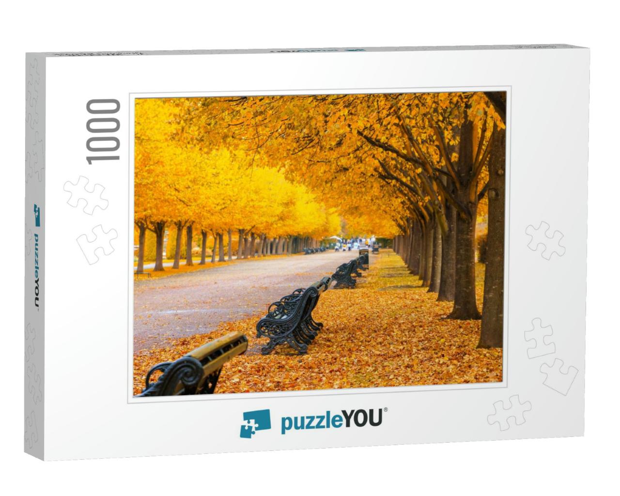 Beautiful Scenery of Tree Lined Avenue with Benches in Re... Jigsaw Puzzle with 1000 pieces