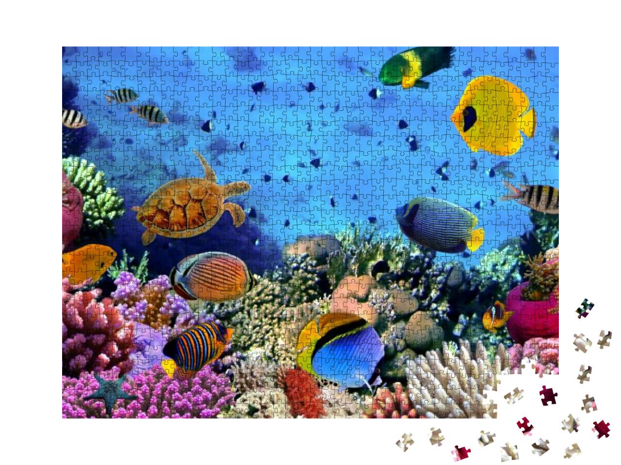 Photo of a Coral Colony, Red Sea, Egypt... Jigsaw Puzzle with 1000 pieces