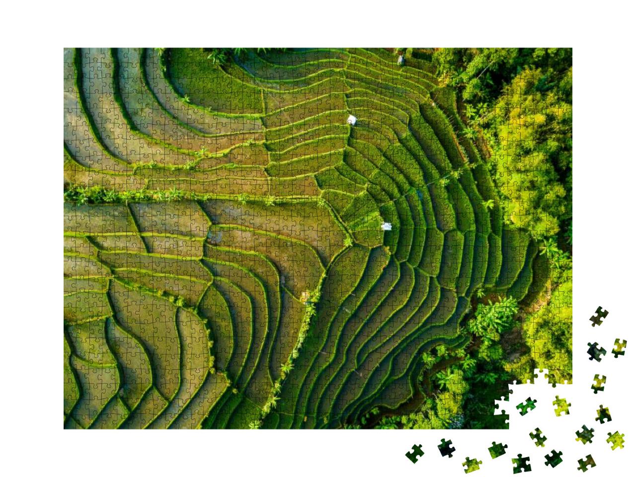 Aerial View of Rice Field Terrace, Bandung, West Java Ind... Jigsaw Puzzle with 1000 pieces