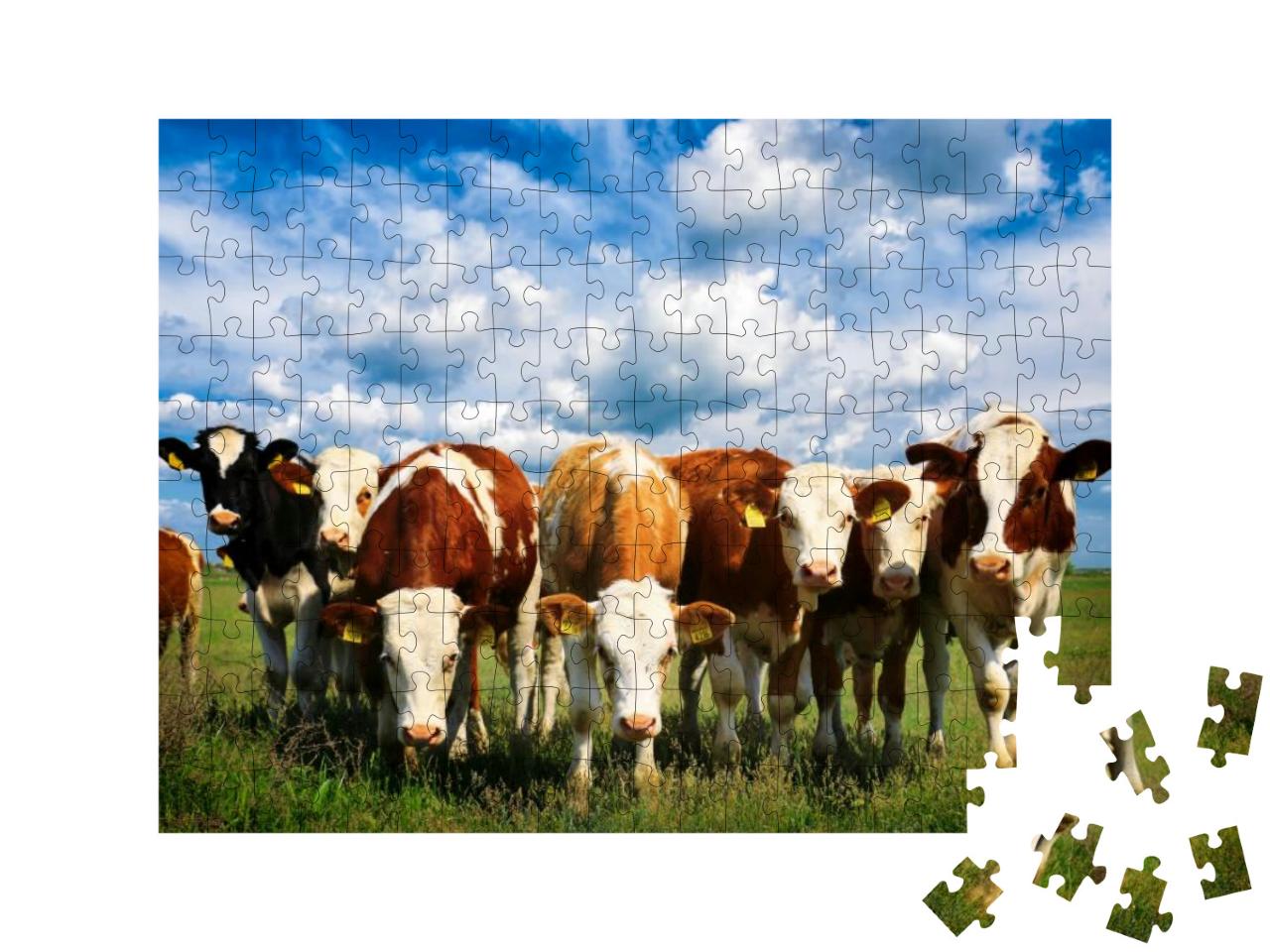 Cows on a Green Summer Meadow... Jigsaw Puzzle with 200 pieces