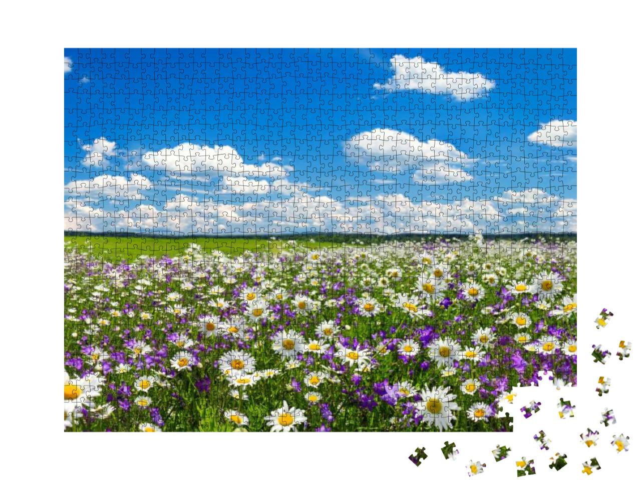 Spring Landscape with Flowering Flowers on Meadow. White... Jigsaw Puzzle with 1000 pieces