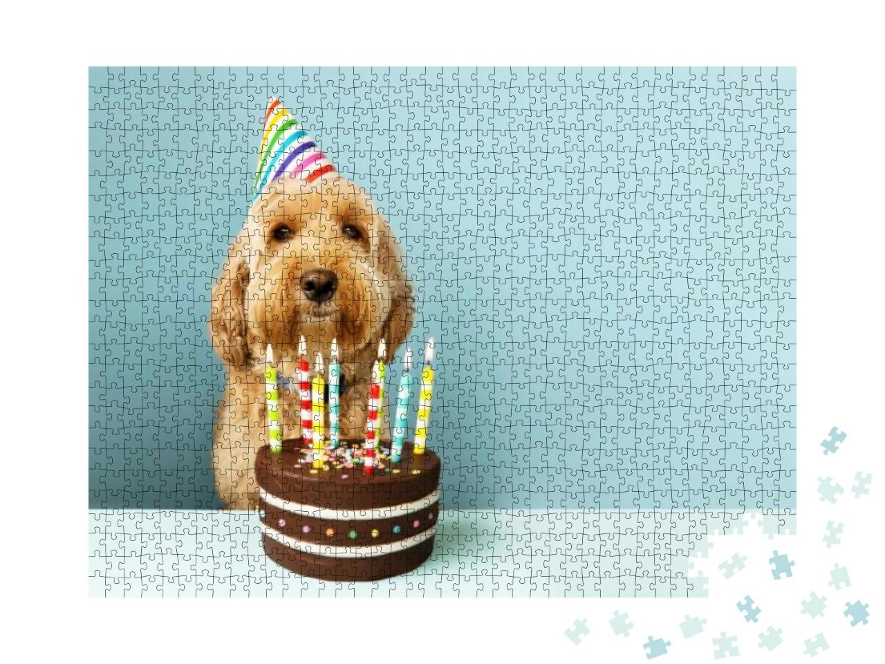 Funny Dog with Birthday Cake & Hat... Jigsaw Puzzle with 1000 pieces
