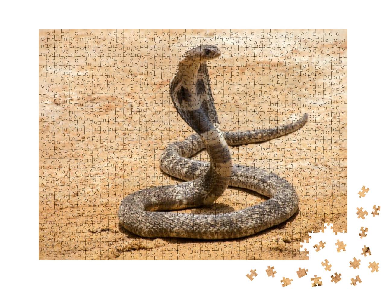The King Cobra on Sand... Jigsaw Puzzle with 1000 pieces