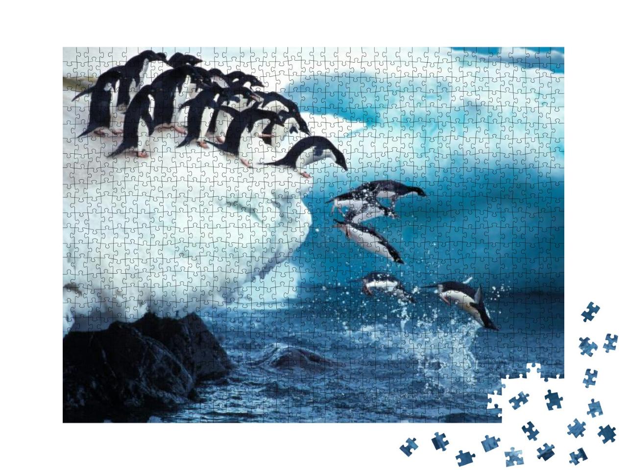 Adelie Penguin, Pygoscelis Adeliae, Group Leaping Into Oc... Jigsaw Puzzle with 1000 pieces